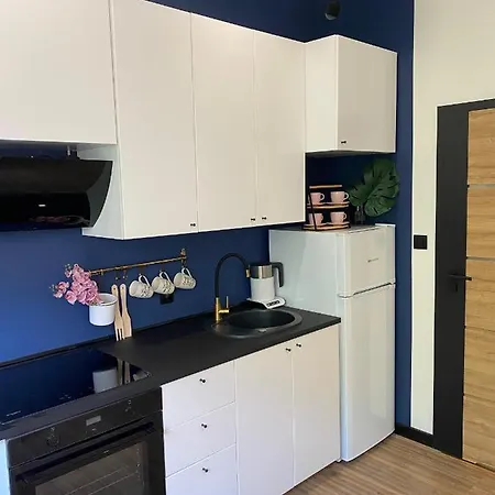 Apartment Przytulny I Nowoczesny Malgosi, 10 Min Pieszo Od Dworca I Galerii